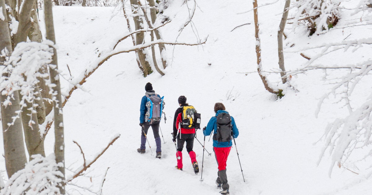 Skiing Alternative Activities To Enjoy In The Alps HuffPost UK Life