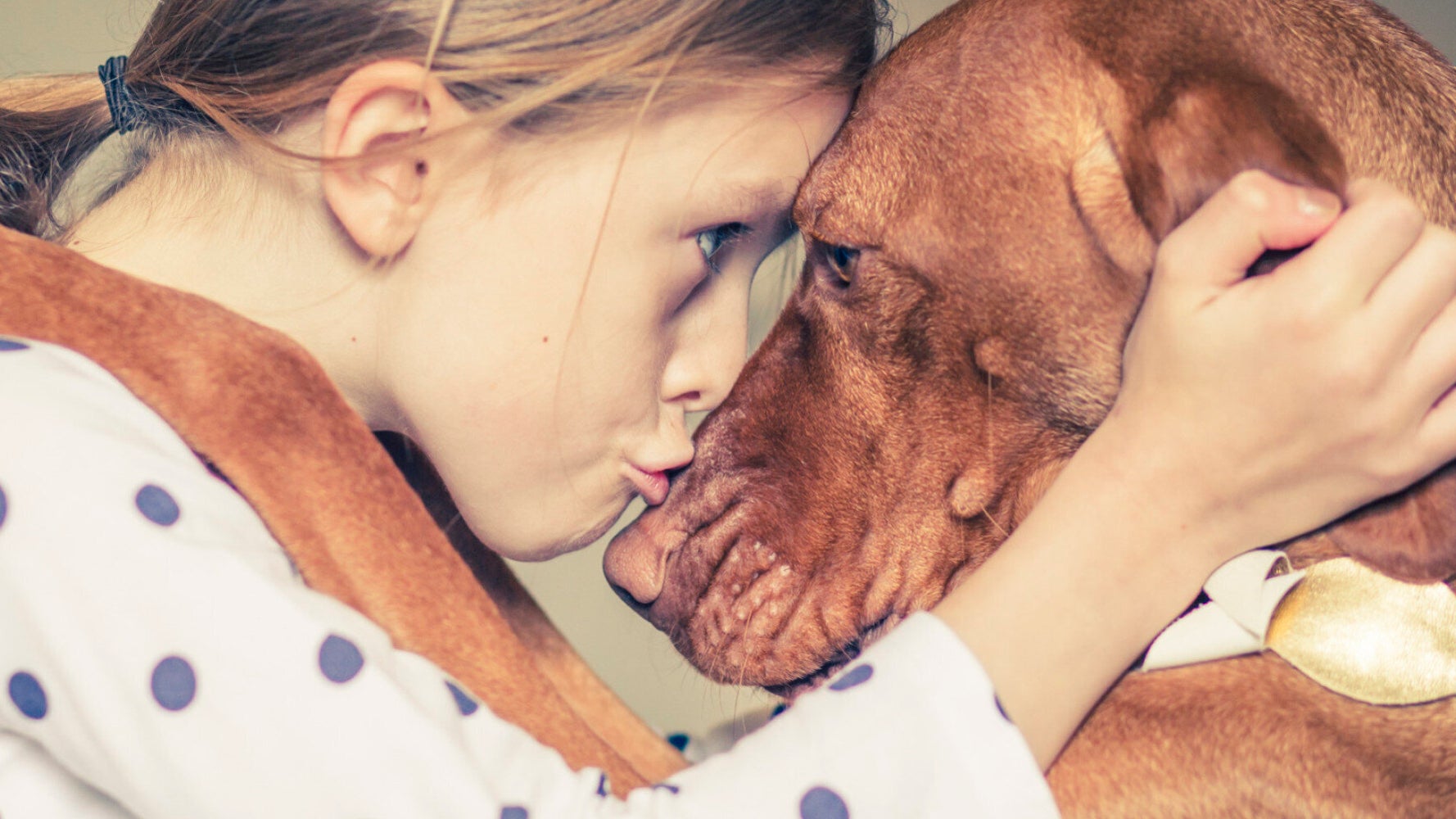 Dog Reincarnation: Has My Pooch Lived Before? | HuffPost UK Life Dog Reincarnation: Has My Pooch Lived Before? | HuffPost UK Life