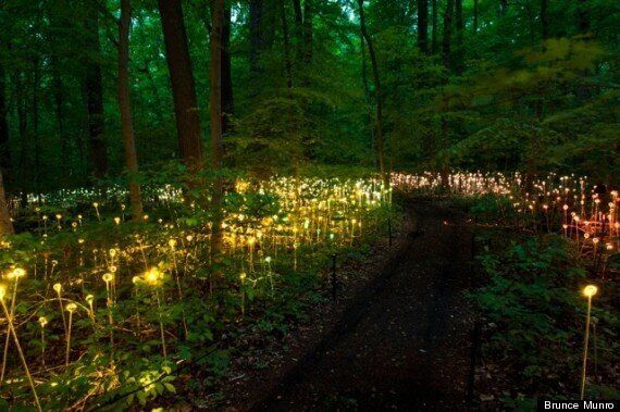 How Does Your Garden Glow? British Artist Bruce Munro Builds ...