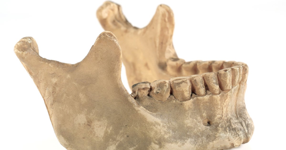 Modern Humans Evolved 100,000 Years Earlier Than We Thought - And Not ...