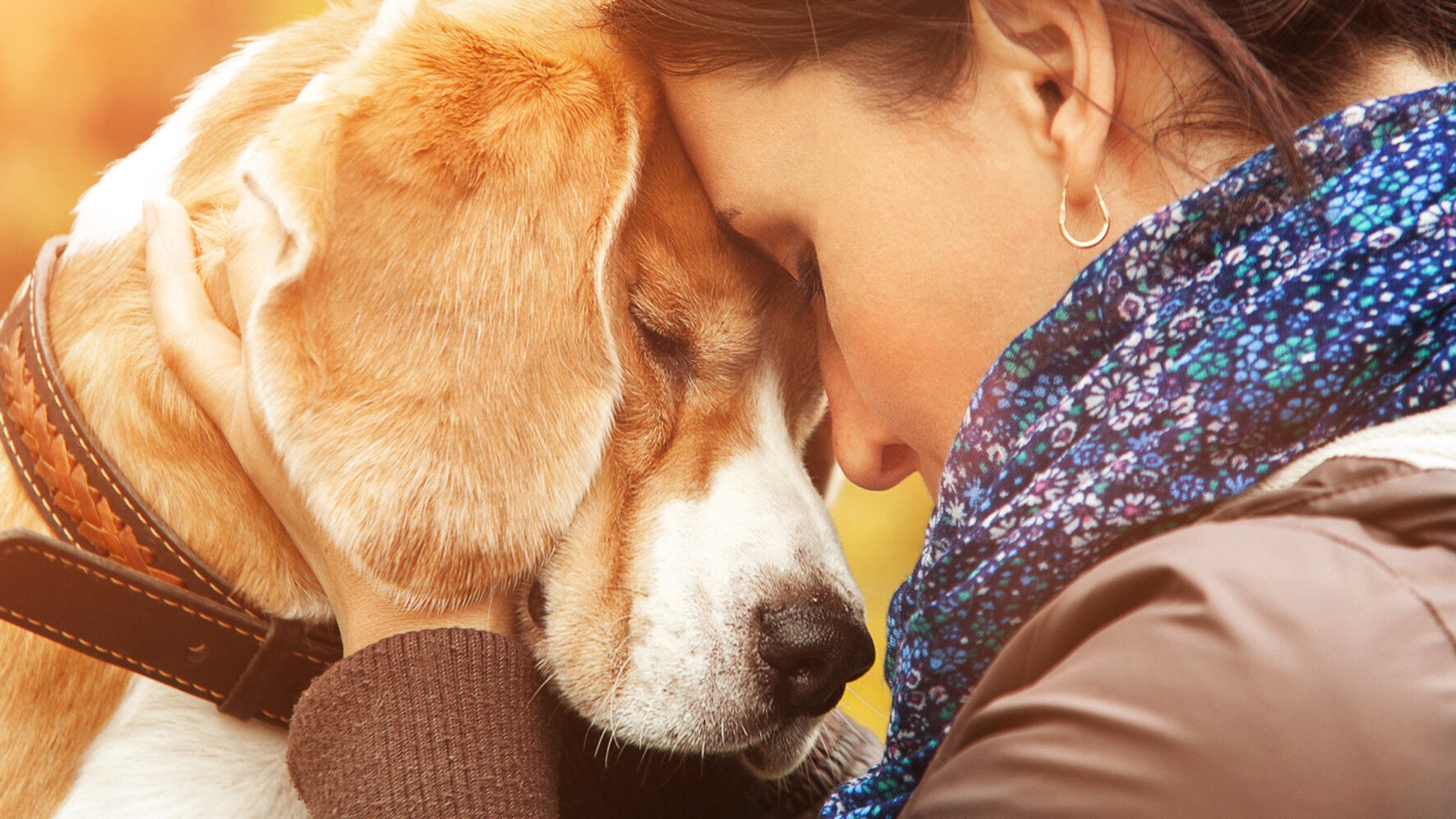 how-i-became-a-dog-behaviourist-huffpost-uk-life