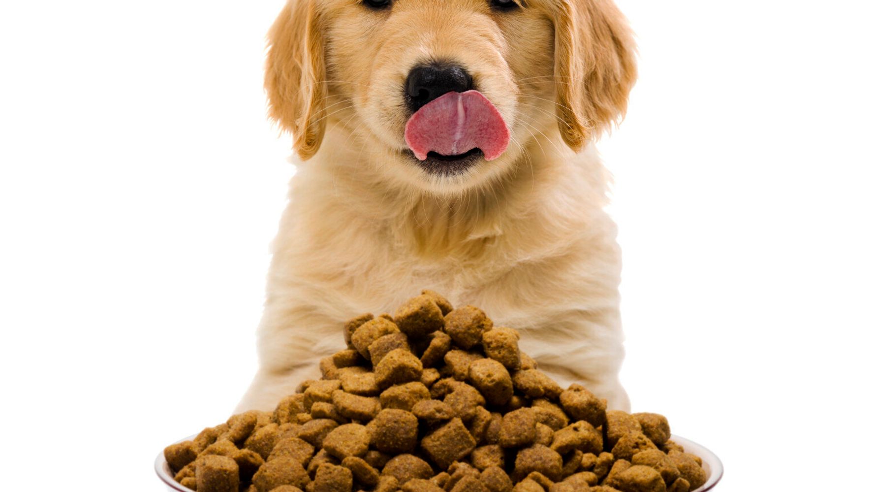 What Is A "Natural" Diet For Dogs? | HuffPost UK Life