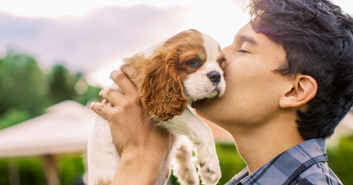 why-we-need-national-pet-remembrance-day-huffpost-uk-life