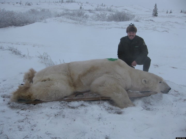 Busy Times at the World's Largest Polar Bear Prison - The Atlantic