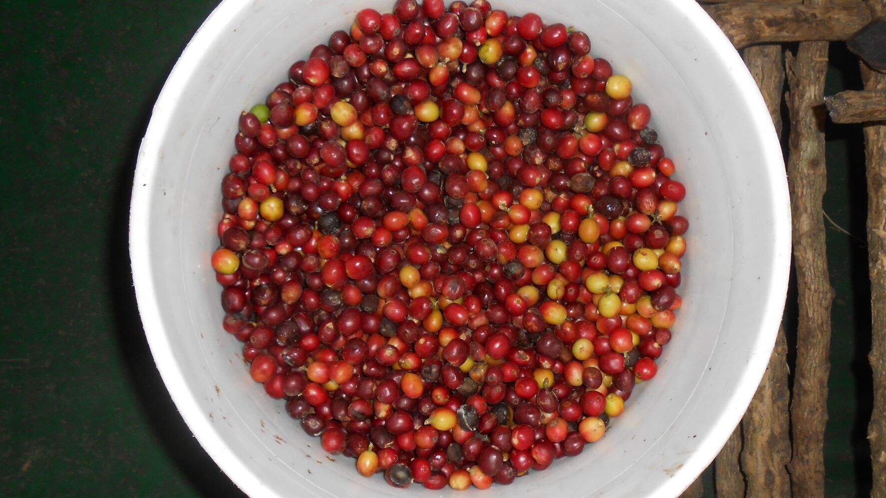 Coffee Cupping In Costa Rica S Central Valley Huffpost