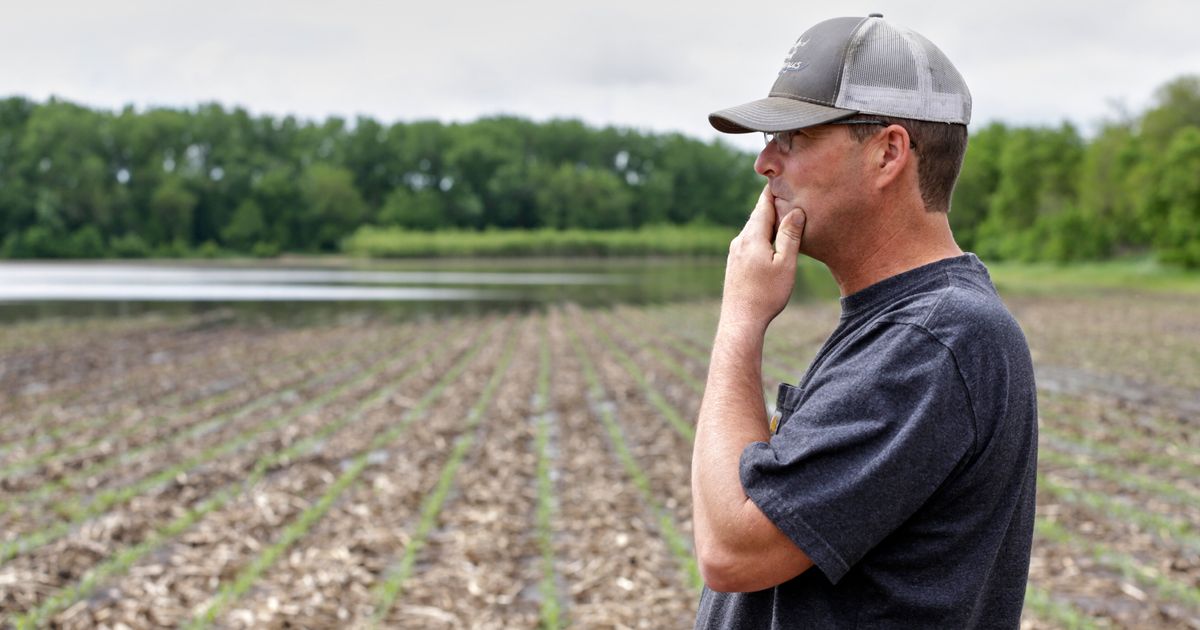 His father a farmer. Farmer USA. Why us Farmers make their place rounded. Us Farm.