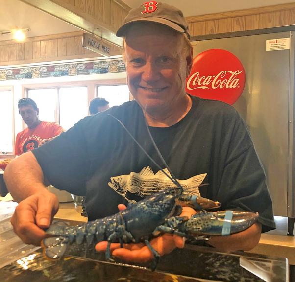 青いロブスター が入荷 専門家は 0万匹に1匹の割合 と分析 アメリカのレストラン ハフポスト News 青いロブスター が入荷 専門家は 0万匹に1匹の割合 と分析 アメリカのレストラン ハフポスト News