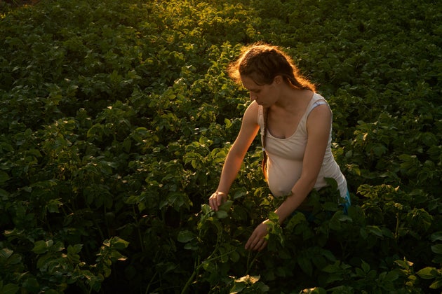 Les agricultrices ont désormais droit au même congé maternité que les autres femmes 5d0645bd2400005117925083