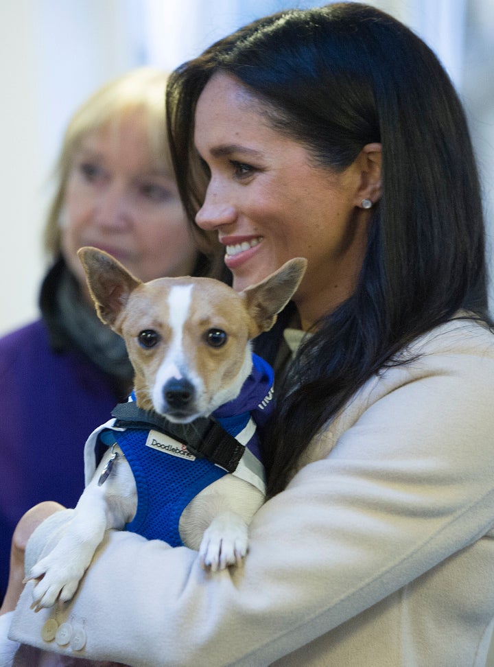 Meghan, Duchess of Sussex meets a Jack Russell dog named "Minnie" during her visit to the animal welfare charity Mayhew in London on Jan.16. 