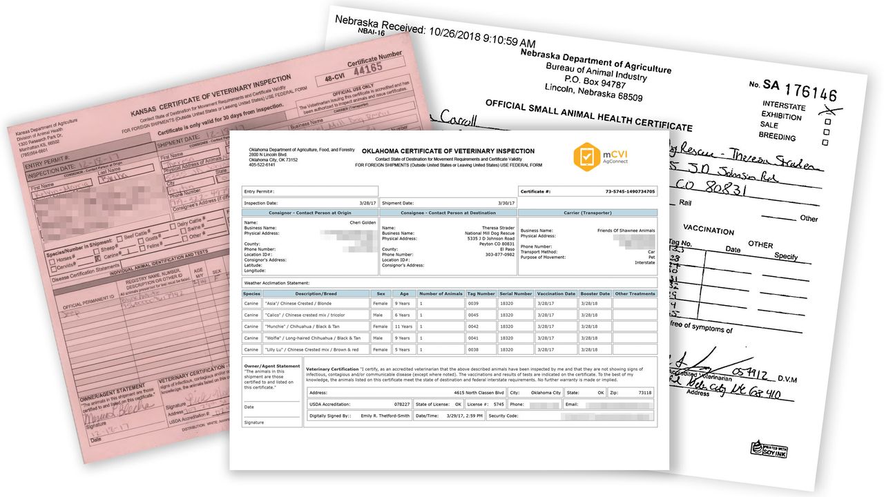 Examples of certificates of veterinary inspection from Kansas, Oklahoma and Nebraska.