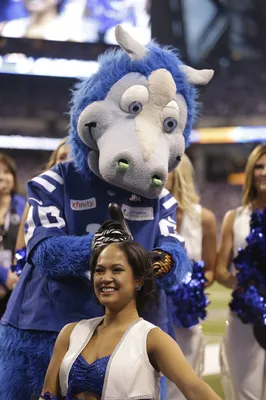 Colts cheerleaders shave their heads to raise funds for leukemia research