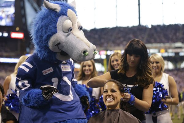 Chuck Pagano cancer: Colts cheerleaders have heads shaved during