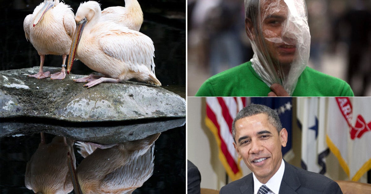 Pictures Of The Day 29th January 2013 Huffpost Uk News Pictures Of The Day 29th January 2013 Huffpost Uk News