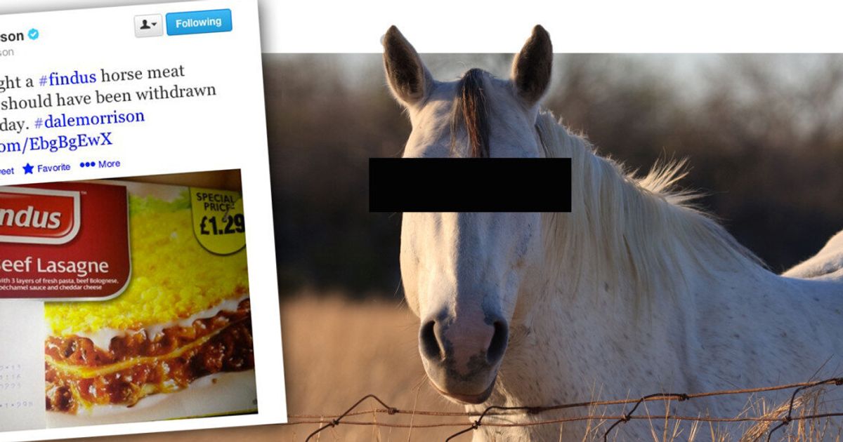 Horse Meat: Calls For Criminal Investigation After Findus Lasagne Tests |  HuffPost UK News