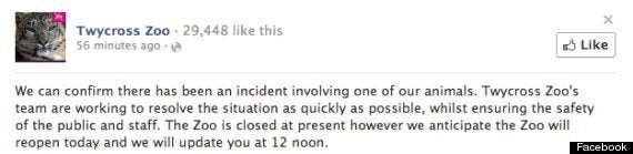 Twycross Zoo Closed After 'Animal Incident', Police At The Scene