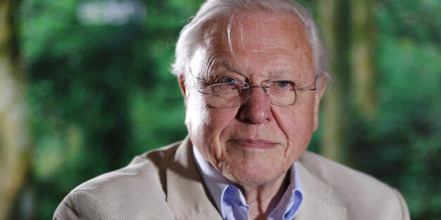 Attenborough interview