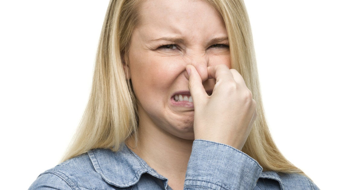 Do Silent Farts Smell Worse Than Loud Parps? (VIDEO) HuffPost UK Life
