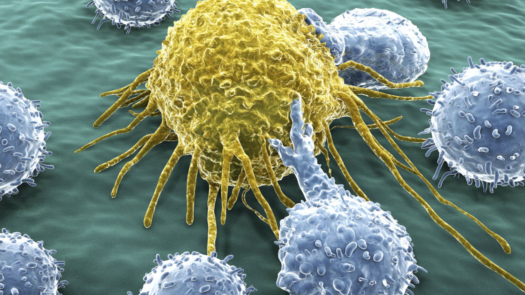 new-cancer-drug-could-mark-beginning-of-a-new-era-in-treating-the