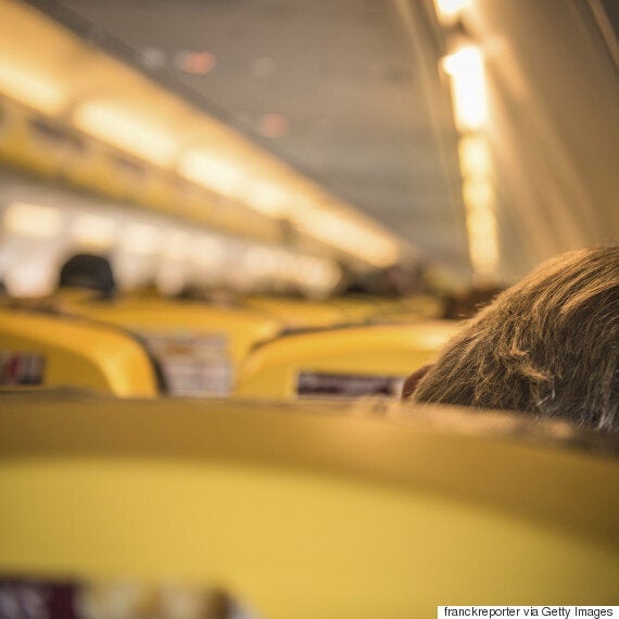 Ryanair Dogs On Board Policy Might Allow Owners To Travel With Their