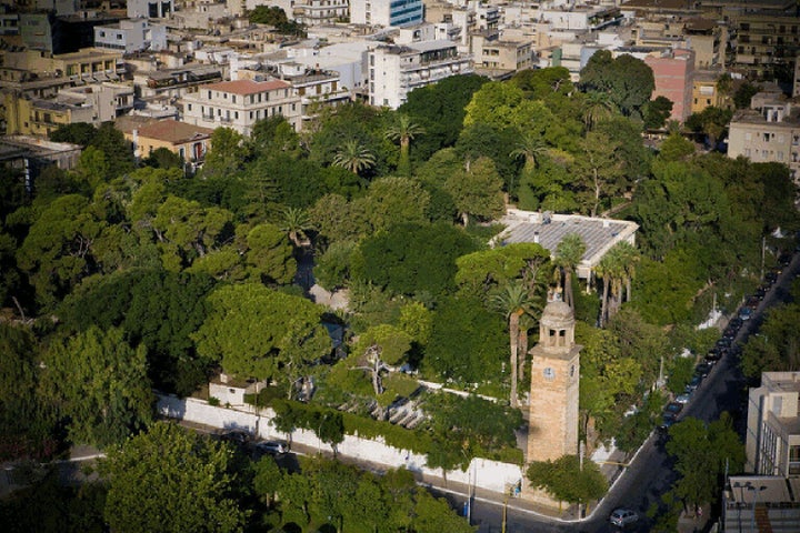 O δημοτικός κύπος χανίων 