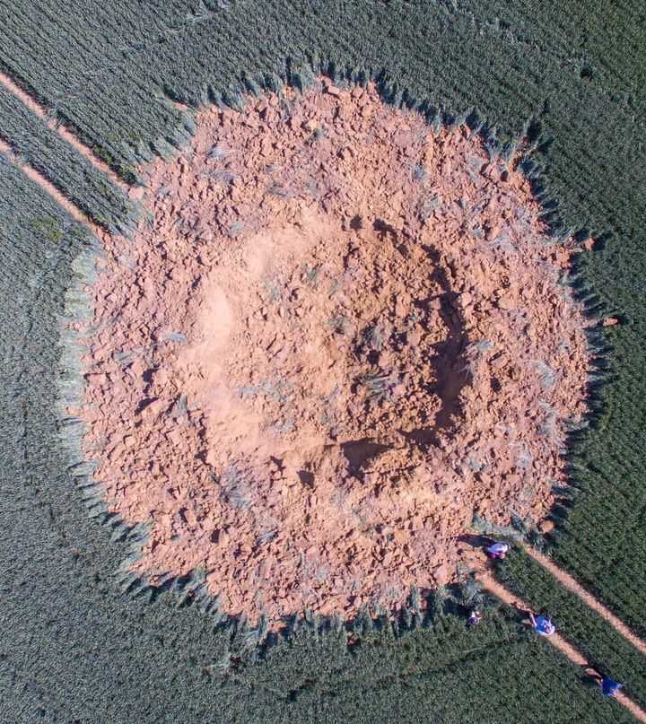 A crater is pictured in a corn field after a bomb from World War II exploded in Halbach, Germany.