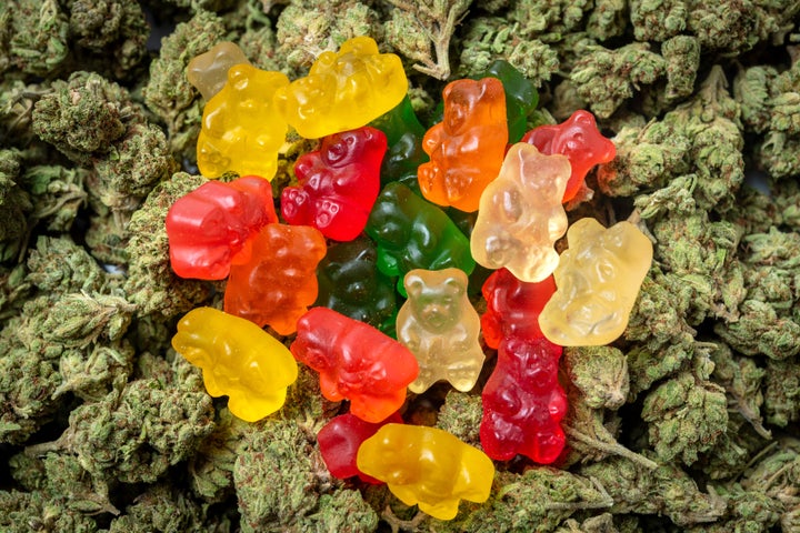 This photo shows organic gummy bear candies that are infused with cannabis.