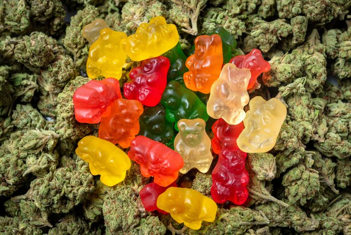 This photo shows organic gummy bear candies that are infused with cannabis.