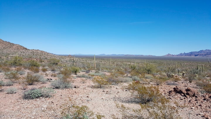 This undated image from Tucson Sector Border Patrol shows the desert terrain close to Arizona's boundary with Mexico near Lukeville, Arizona.