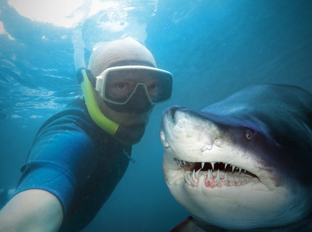 Les selfies tuent cinq fois plus de gens que les attaques de