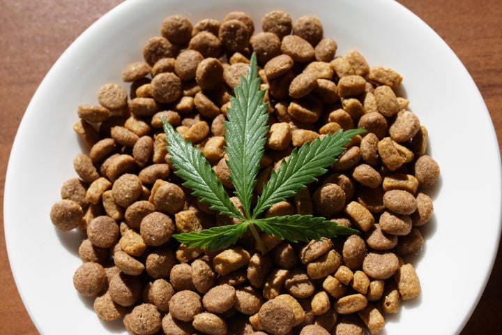 are weed treats good for dogs