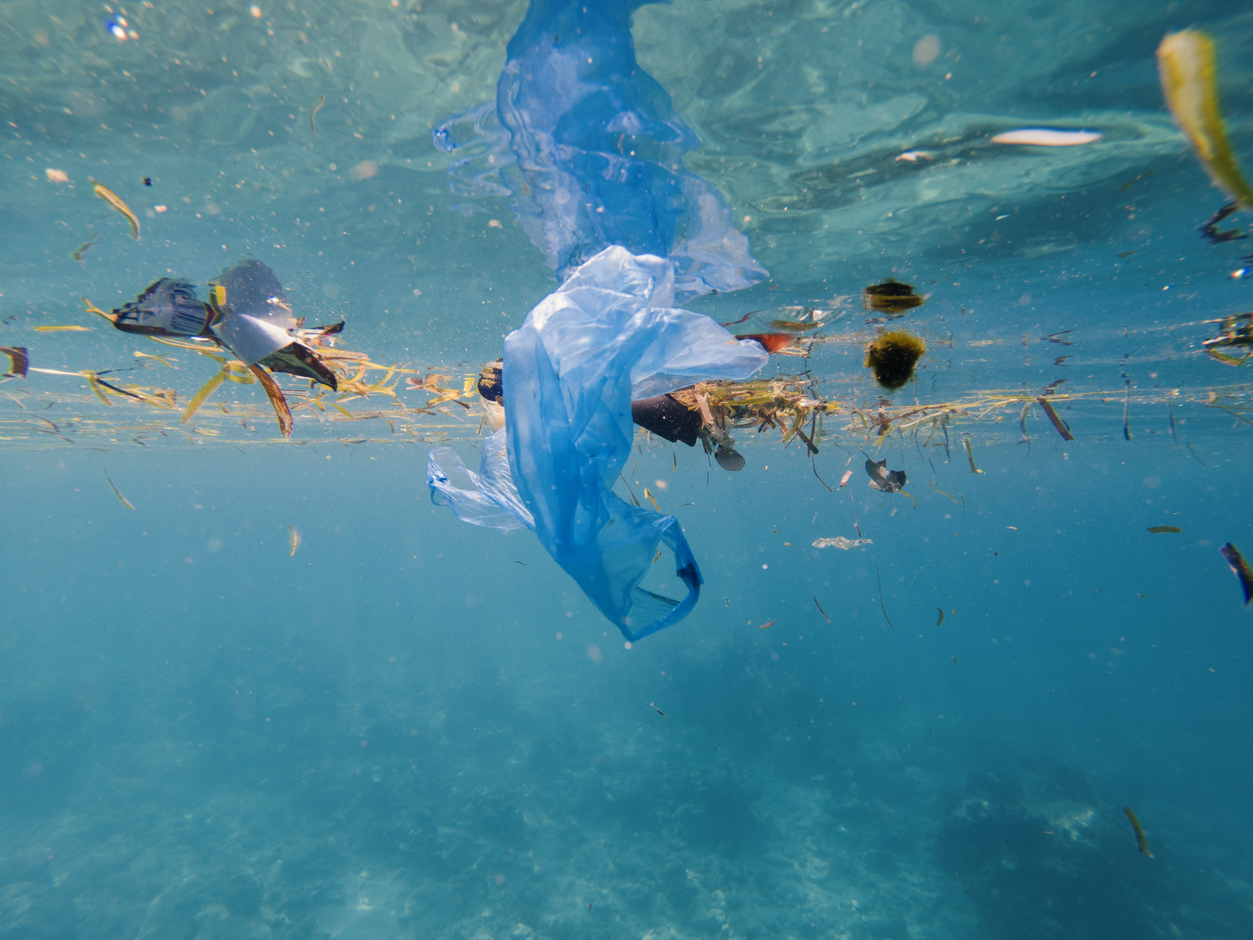 [B!] G20が閉幕 海洋プラスチックへの対策は結局どうなったの？