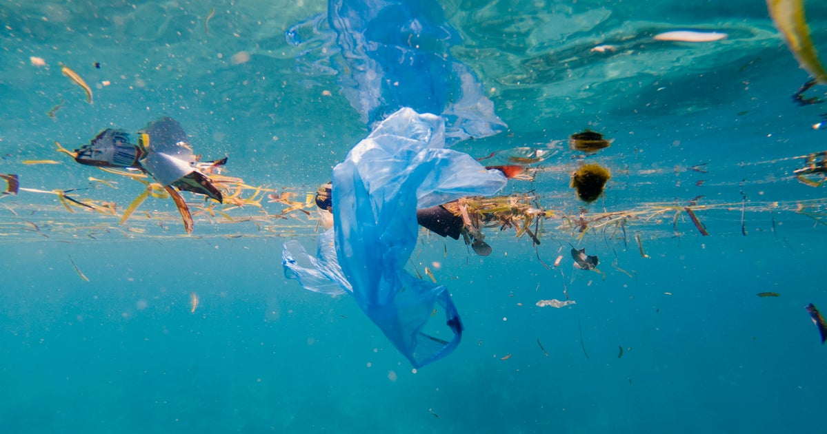 G20が閉幕 海洋プラスチックへの対策は結局どうなったの ハフポスト
