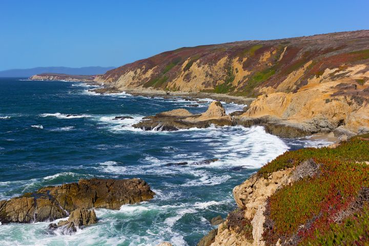 The Bodega Head peninsula where mussels died in the heat.