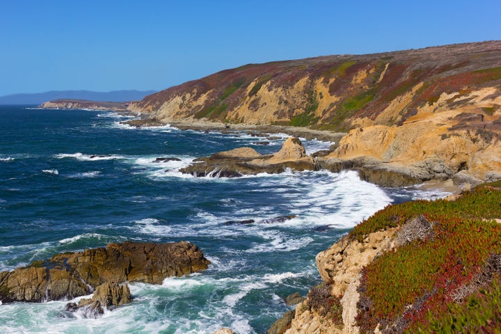 The Bodega Head peninsula where mussels died in the heat.