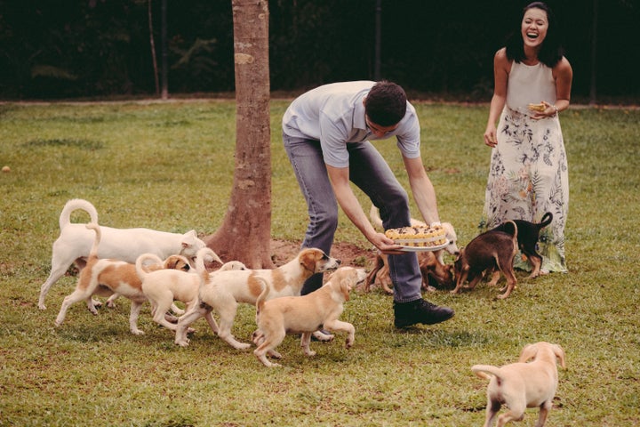 The dogs were big fans of the cake&nbsp;Fernandes brought.