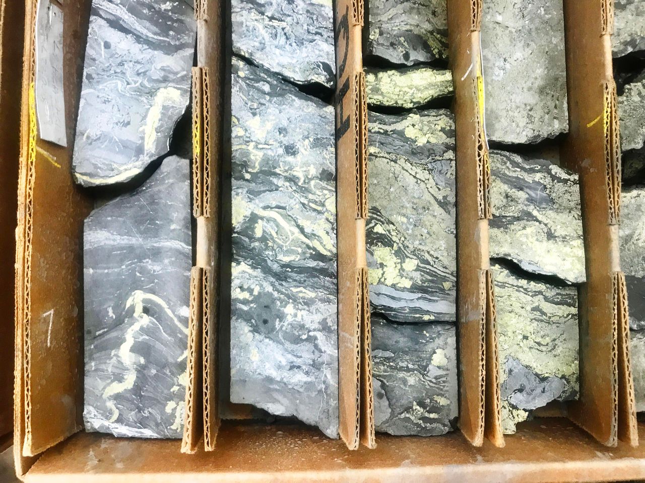 Cores of copper-rich rock that were extracted from the project site. The golden-yellow material is chalcopyrite, a major copper ore mineral.