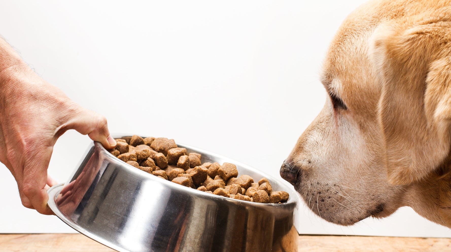 16 Dog Food Brands May Be Linked To Canine Heart Disease Fda Says Huffpost