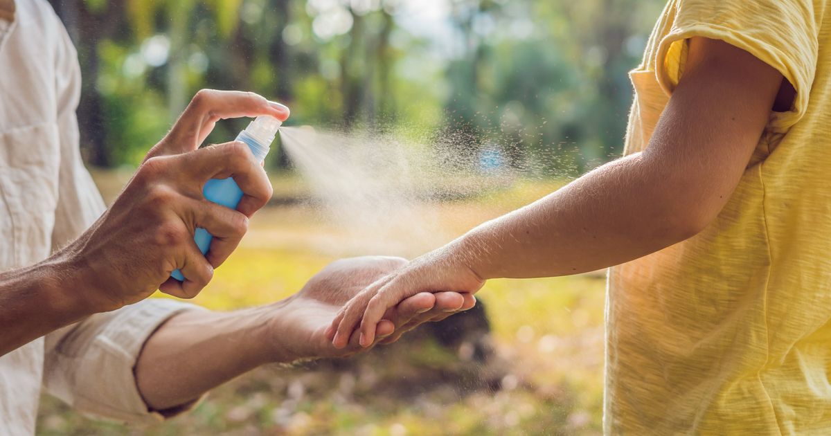 the-best-natural-bug-spray-according-to-consumer-reports-huffpost-life