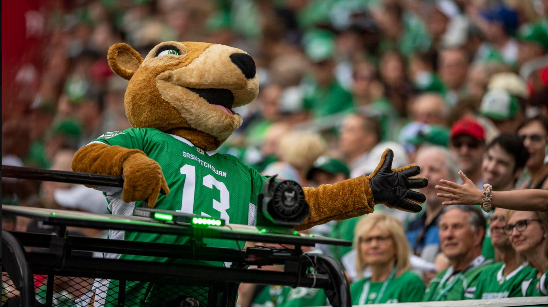 The Saskatchewan Roughriders Mascot Got A Makeover And It