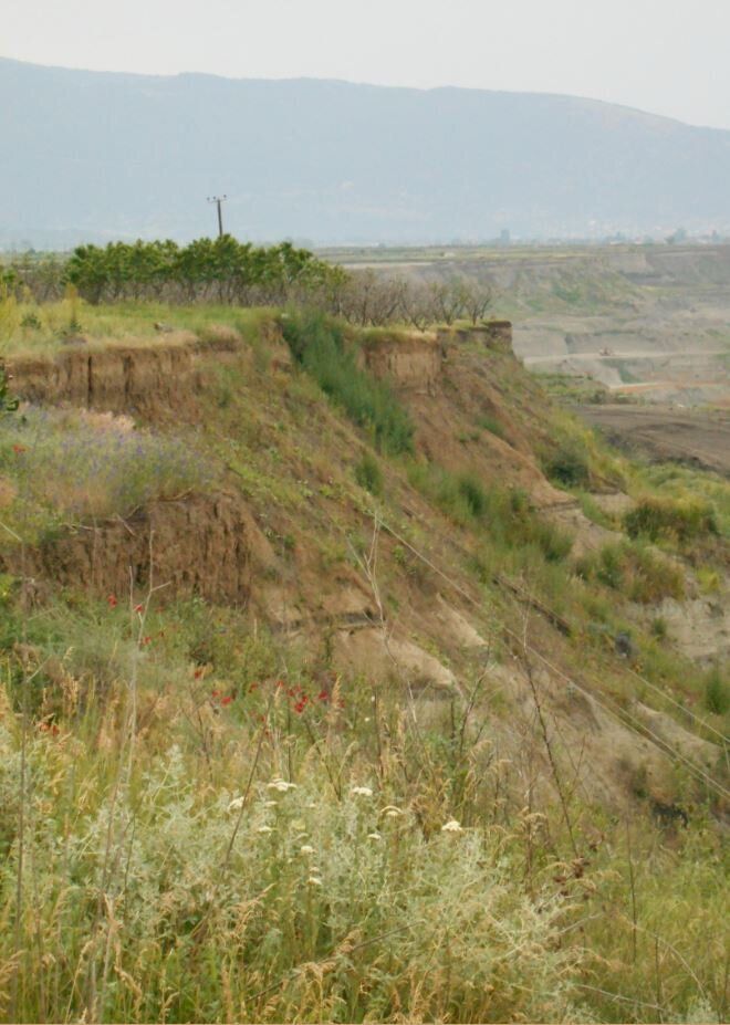 Το σημείο της κατολίσθησης στους Ανάργυρους. Στο βάθος χωράφι, μέρος του οποίου βυθίστηκε στο ορυχείο. Πλέον έχουν δημιουργηθεί αναχώματα στήριξης ενώ η φύση έχει καταλάβει την περιοχή.