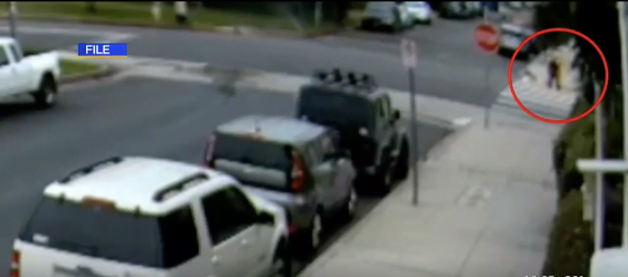 A screenshot from surveillance footage shows Gennady Bolotsky at a crosswalk at Magnolia Boulevard and Wilkinson Av