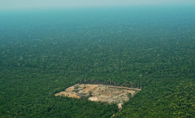 Ο Μπολσονάρο καταστρέφει τον Αμαζόνιο - Αύξηση κατά 88% της αποψίλωσης του δάσους μόνο τον