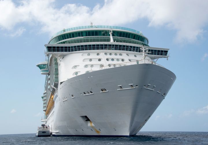 The accident occurred on board the Freedom of the Seas while it was docked in Puerto Rico on Sunday (file picture) 