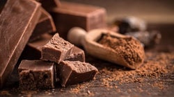 Para ser catador profesional de chocolate necesitas todo