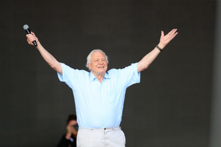 Sir David Attenborough made a surprise appearance on Glastonbury's Pyramid stage last month to launch the BBC's new natural history series Seven Worlds, One Planet 