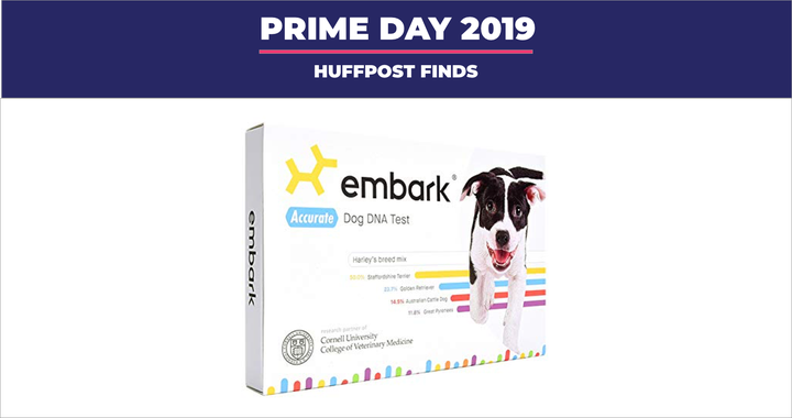 Embark dog best sale dna test sale