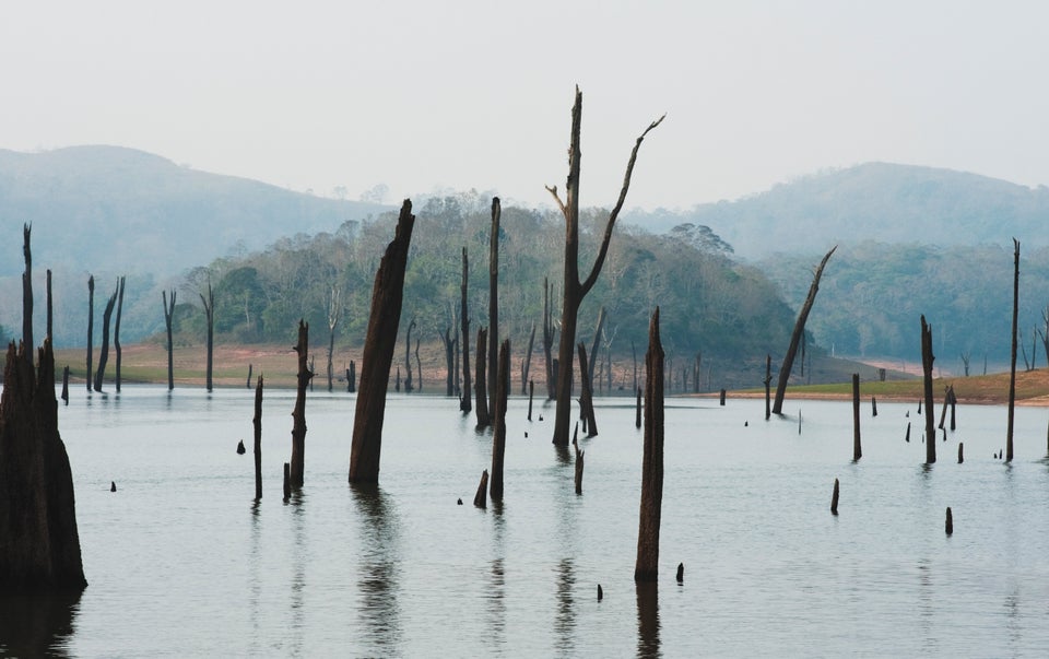 A view of the Thekkady lake in