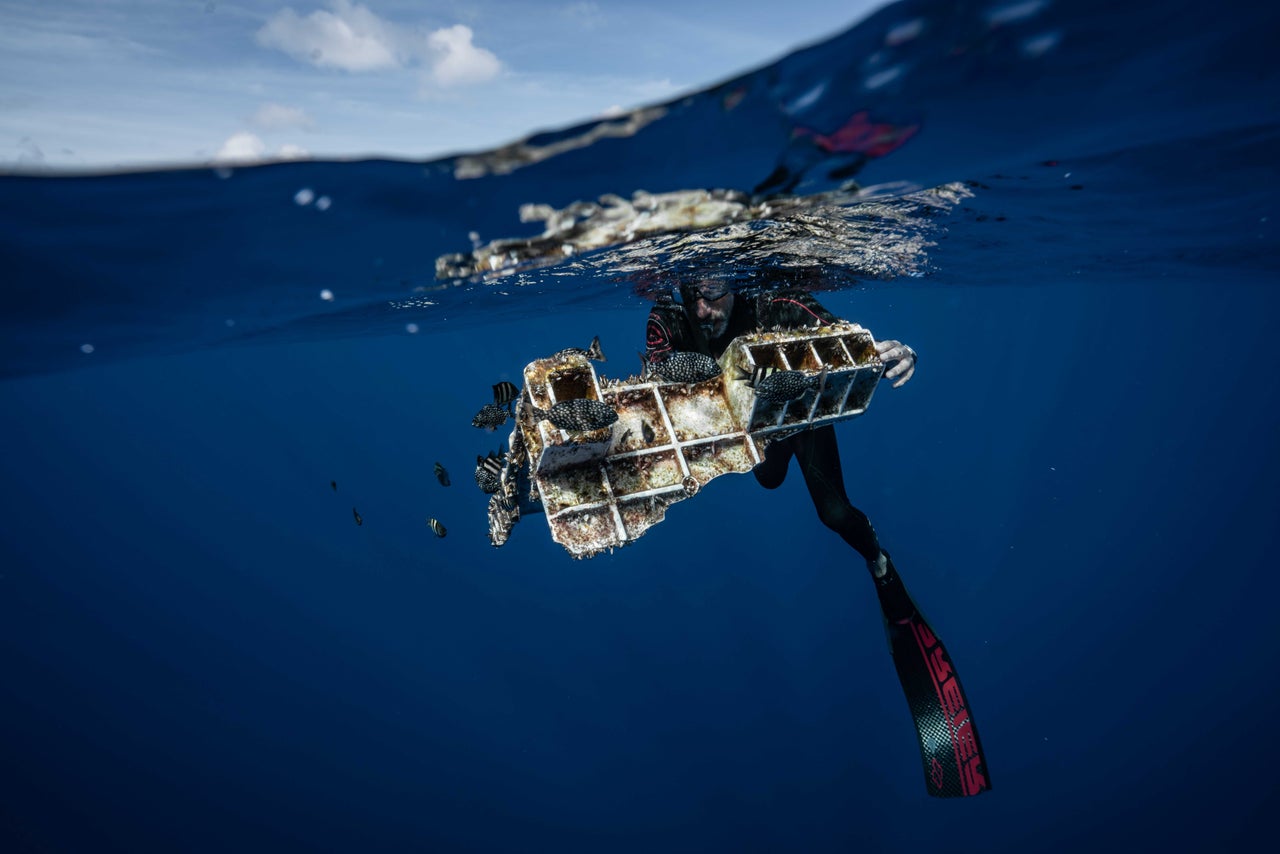 Lecomte holds a piece of a plastic crate that's become a haven for fish and a home for other marine life.