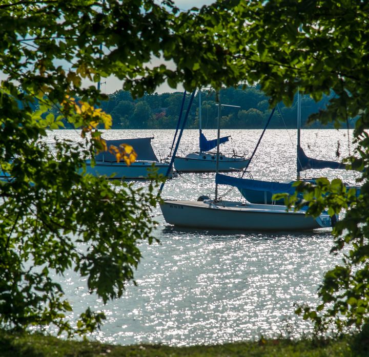 More than 100 people who were attending a Fourth of July event at Lake Minnetonka in Minnesota last week fell ill, leading to an investigation by the health department.