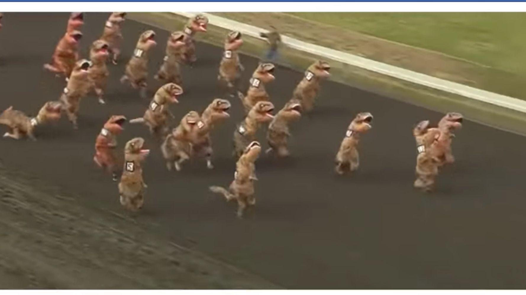 ティラノサウルスの群れが、一心不乱に競馬場を駆け抜ける。常軌を逸した着ぐるみレースが話題に | ハフポスト WORLD